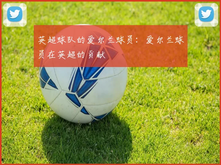 英超球队的爱尔兰球员：爱尔兰球员在英超的贡献