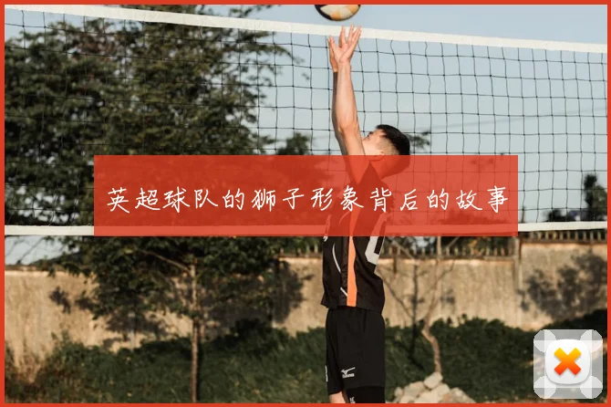 英超球队的狮子形象背后的故事