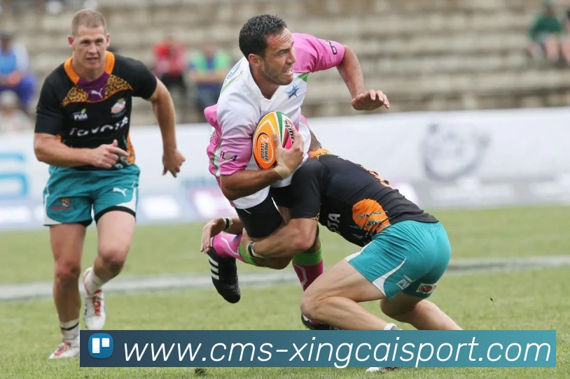 杏彩体育发展历程